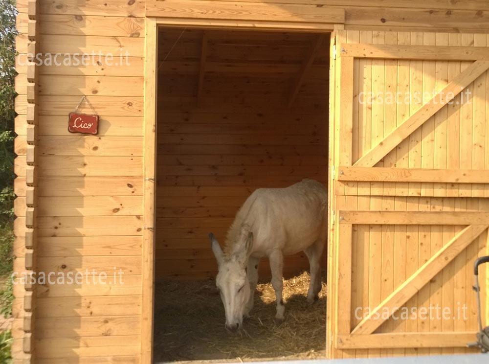 Box Cavalli 7x3 porta Box Cavalli modello 7x3 porta doppia